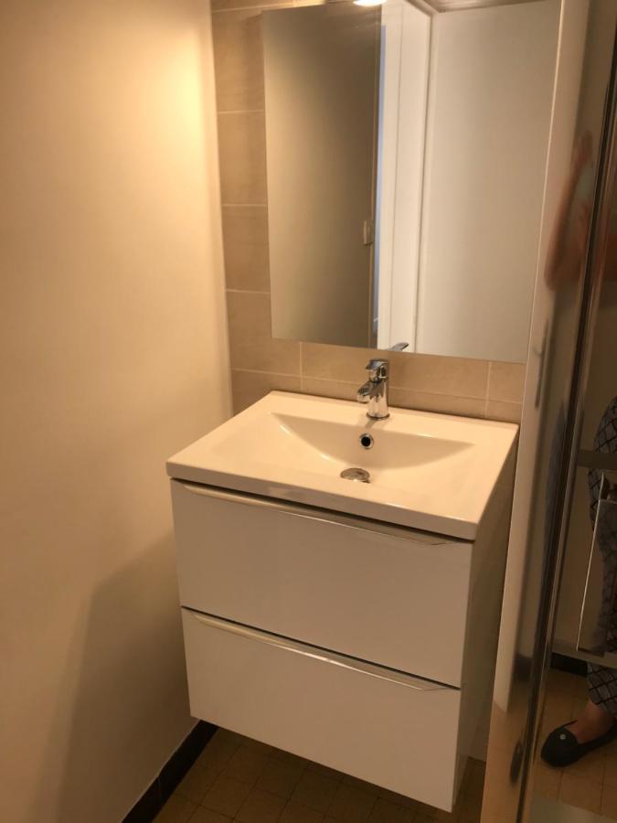 Grenoble Joli Appartement Экстерьер фото